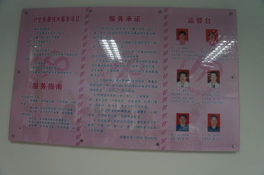 领先CMS建站服务商 专注研发，赋能高效建站